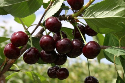 ��� ��� ���� ������� ��������� ����� ������ � ��������