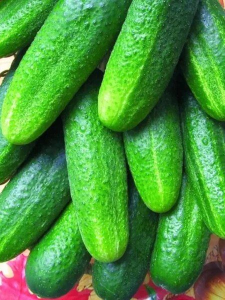 ������ ��������: �������� ������ ������� ��� �������������� ������