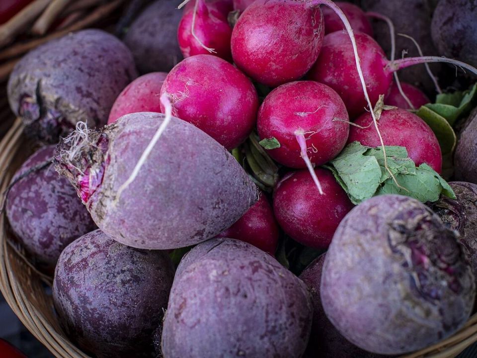 ��� ������ ���� �������� ������: ������� ������� ��� �������� ������