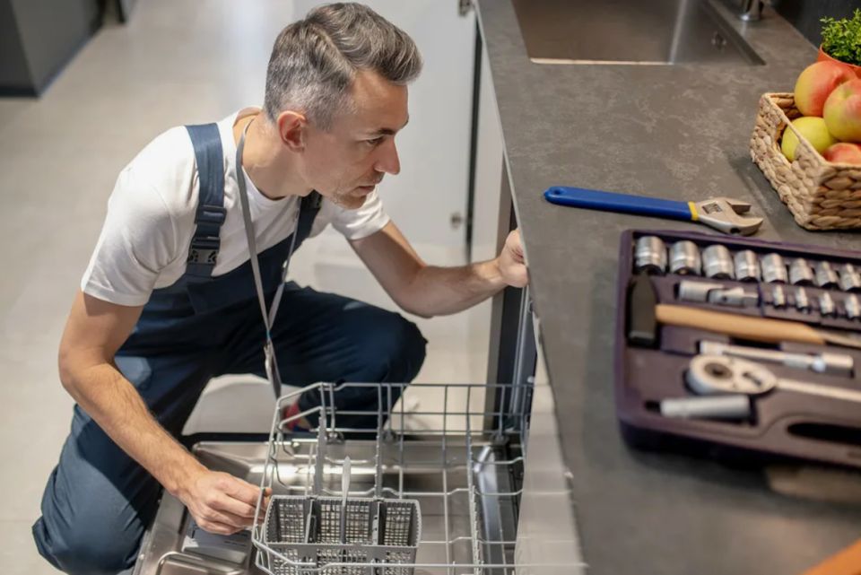 ���� ������ ������������� �����: ��� �������������� ������ ���������� ��������