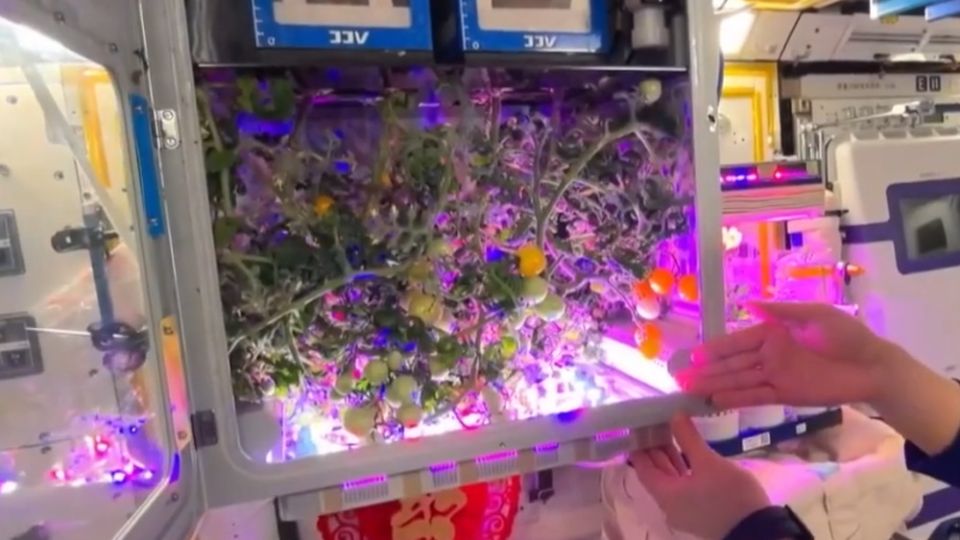 ����������� ��������: ��� ��������� ���������� ������������� ����� ��� �� ������