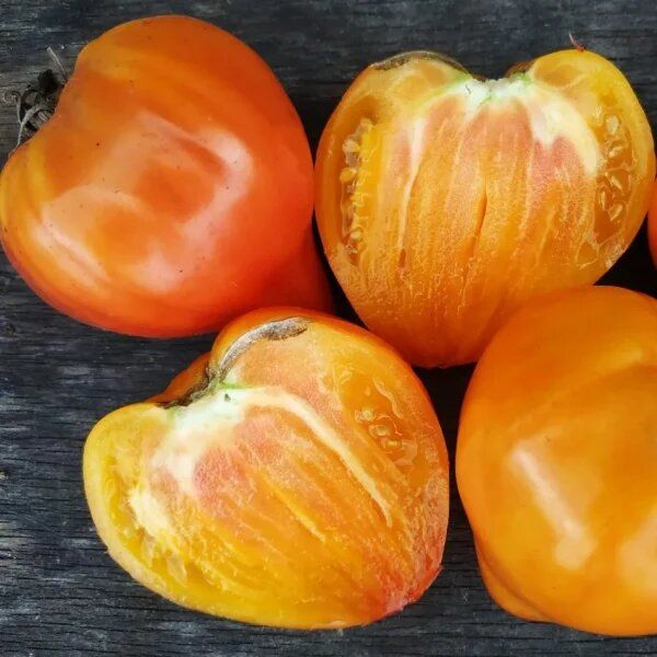 �������������� ��������: ����� ������ 156 � ��� ������� ������