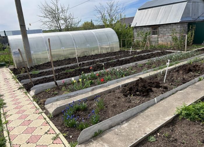 �������� ������ ��������� �� �������