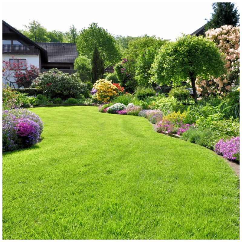 ����� ��� ������������ �������: ��� ������� ��� ������ ����?