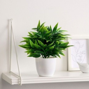 ��� ������� ��������� �������� ��������� ����������: ������� ������