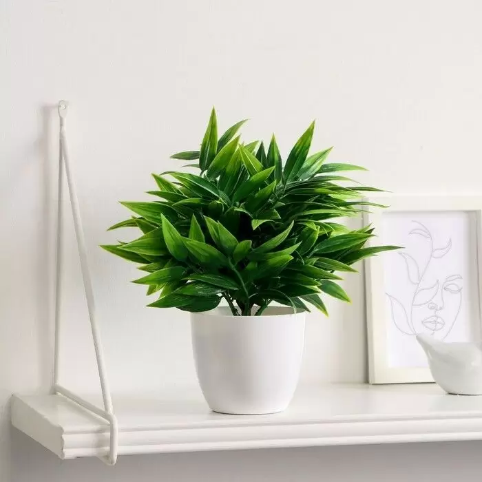 Как сделать маленькую квартиру визуально просторнее: простые советы