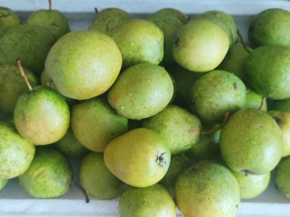 ��������������� ����: ������ ������������ �������