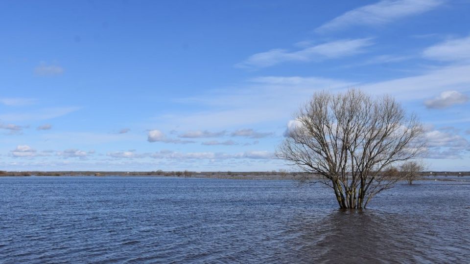 ������� ������ �� ������� �� ���������� ���������� ����