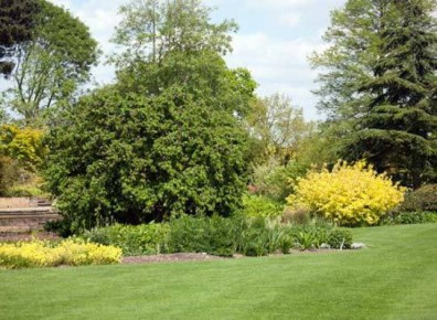 ���������� ������� � ���������� ��� ���������� �������