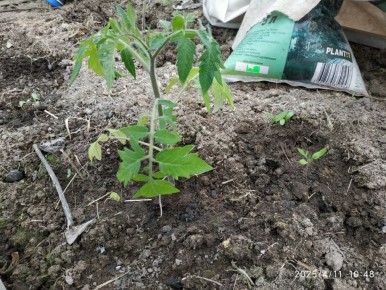 ������� �������� ����� � ������ � ��������