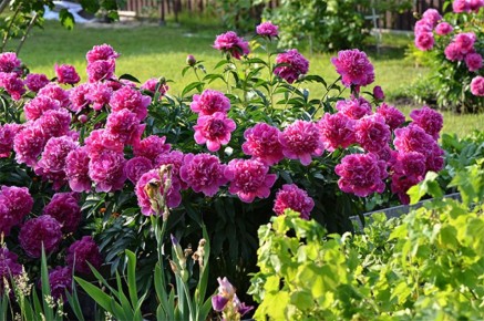 ������ ������� ��������� �� ����������� �������� ������� ������?