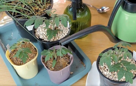 ��� ��������� ������������� ������� � ������: ������ ��� ��������