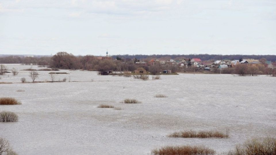 ������� ������ �� ����� �� ���������� ���������� ����