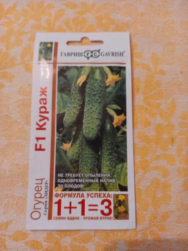 ��� �������� �������� �����: ������� ������ ������������ ���������