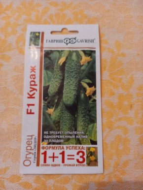 ��� �������� �������� �����: ������� ������ ������������ ���������