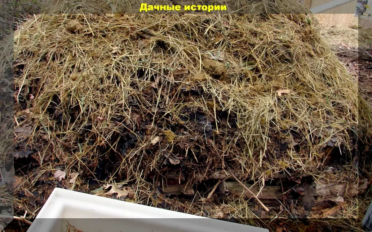 Как ускорить прирост компоста: секреты быстрого разложения органики