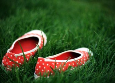 ������ ���� ����� �� �������: �������� ������� � ������� �������