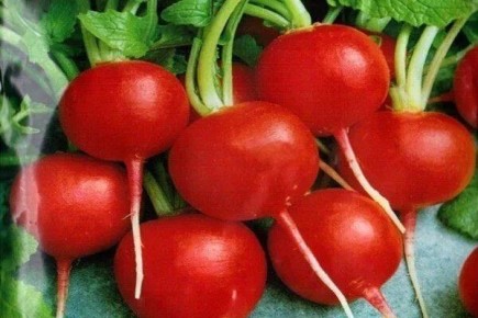 ����� ��������� ������: ��� ��������� �������� ��������� ���������