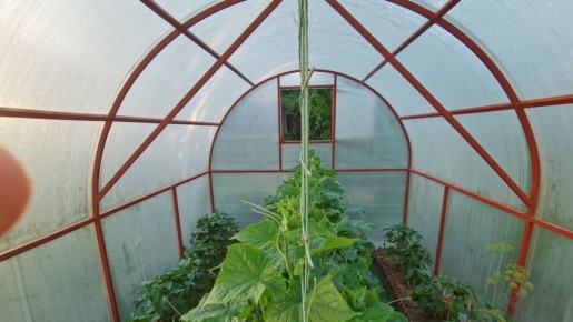 �������������� ������������� �������: ��� ���������� � �������� ������