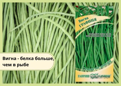 �����: ������ ��������, ������� ������� ���������