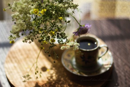 ��������� ��������� ����������: ��� ������� ���������� ������ ������ ��� ������