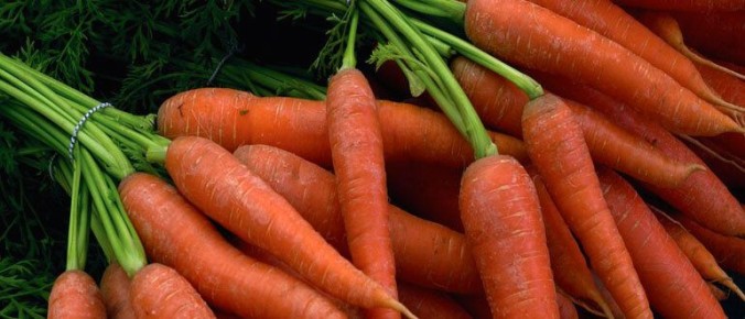 ������� ��������� ����������� �������