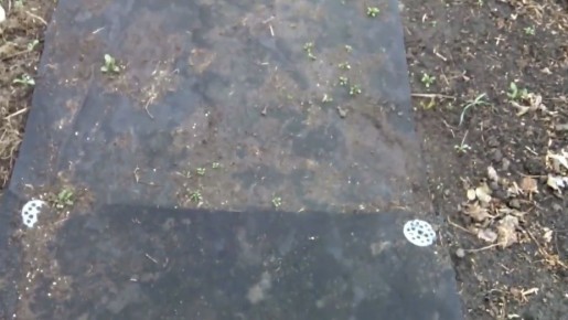 ��� ������ ����� ��������� ����� ���� ������ �� �������� � �������������