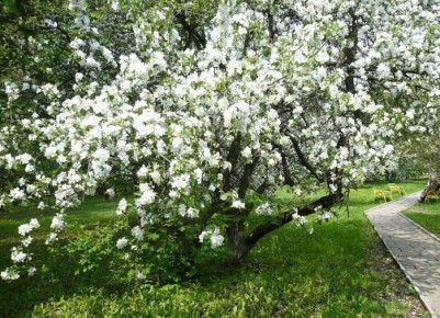 ��� ��������� �������� ������� ������ � �������� ��� �� ������ �������