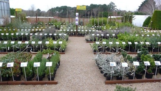 ���� ������ �� ������� � ������: �� �������� �� ����� ������������ ������