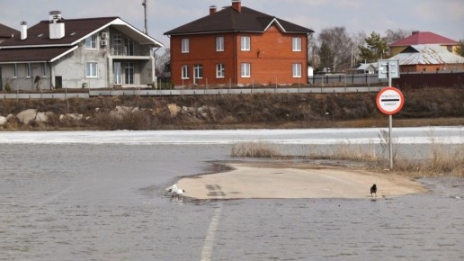 ������� ������ �� ����������� �� ���������� ���������� ����