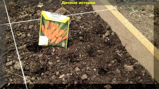 ��� ��������� ���������� �������: ������������ ��� ��������� ������