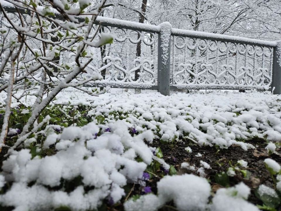 20 ������ � ��������� ������� ��������� ����