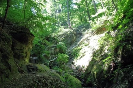 ������ �����, ����� ��� � ������������� ��� � ��� � ����������� ������ � �������� ������