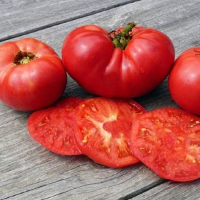 ����� ����� ������� ����: ���������� ����, ������� ����� � �������� �����