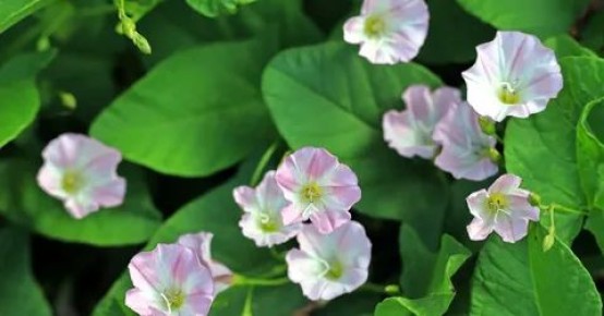 ��� �������� ������ � ������� ������ ������� ��������