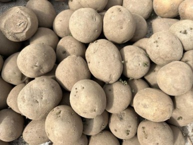 ������� �������� ������� ���������: ��� ������� ������ ������� �� 30%