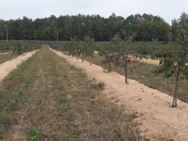 �������������: ��������� ����� ��� ���������� ������� ��� ��������