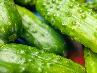 ���������� �������: ��� ������������� ��� ���������������� ��������