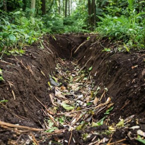 ��� ��������� ������� ����� � ������� �������� �������� ���������