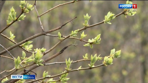 ������ � ����������� �������� ����� ��������������� ������ ������