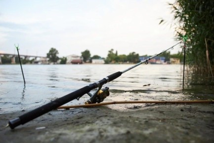 ��� ��������� ����: ������ ���������������� � �������� ����