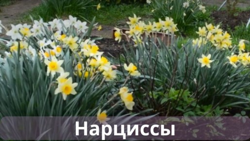 ������: ����� ������� ������� � ����� ������������ ����� ��������