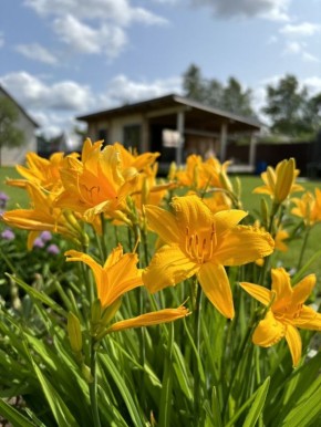 ��� �������� ������� �������� ����������: ������� �����