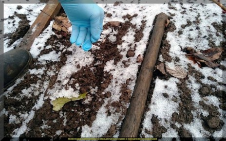 ������� ������ ������� �������� � �������: ������ ��� �����������