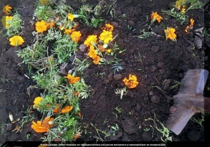 ������������ ��������: ��� ������ ��� ����� ������ ��� ��� � ��������