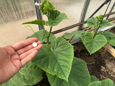 ������ � ��������: ������� ��������� ��� �������� ����� � �������� ������