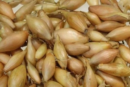 ��� �����: ������� ������ � ������ ������