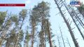 ���������� ���� � ���������� �����