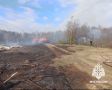 О правилах утилизации сухой травы на участке