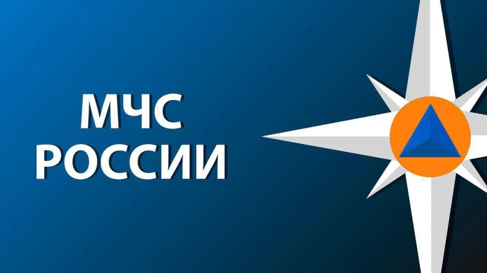 За прошедший период с 11 по 17 мая на территории Рязанской области: